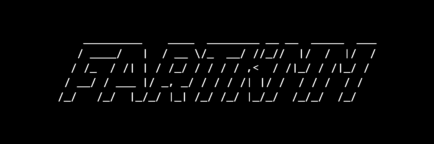 ASCII Art Banner Example